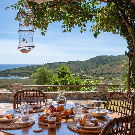 Ginepro San Teodoro (Sardinia)