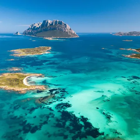 Ginepro San Teodoro (Sardinia)