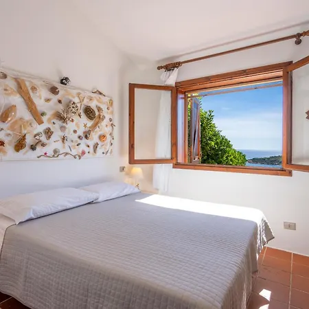 Ginepro San Teodoro (Sardinia)