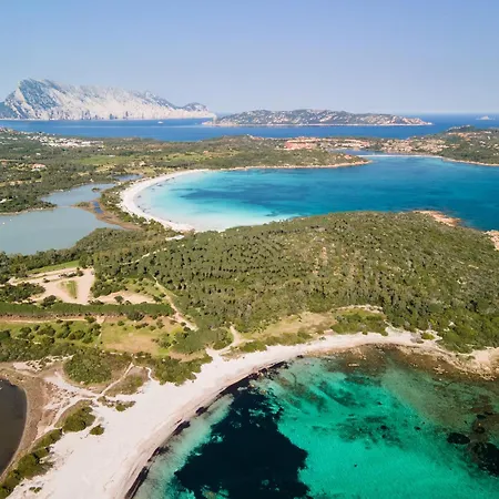 Ginepro San Teodoro (Sardinia)