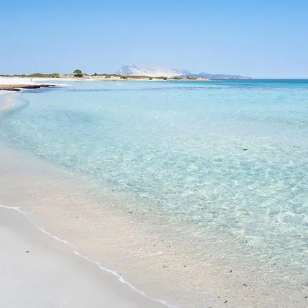 Casa vacanze Ginepro San Teodoro (Sardinia)