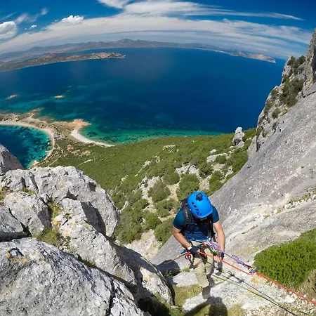 Ginepro San Teodoro (Sardinia)